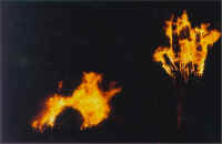 brennend1.jpg (25373 Byte)